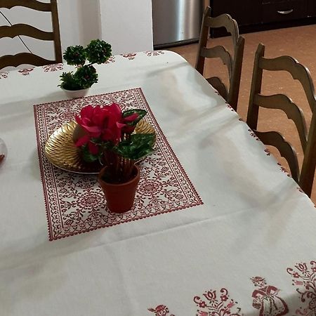 City Center Apartment Shkodër Dış mekan fotoğraf
