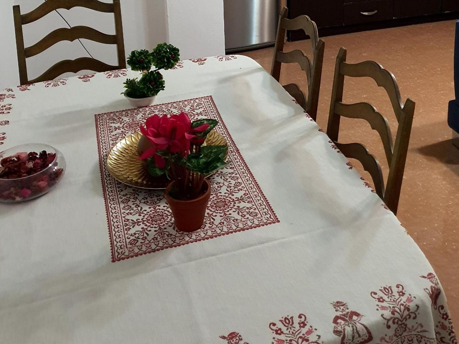 City Center Apartment Shkodër Dış mekan fotoğraf