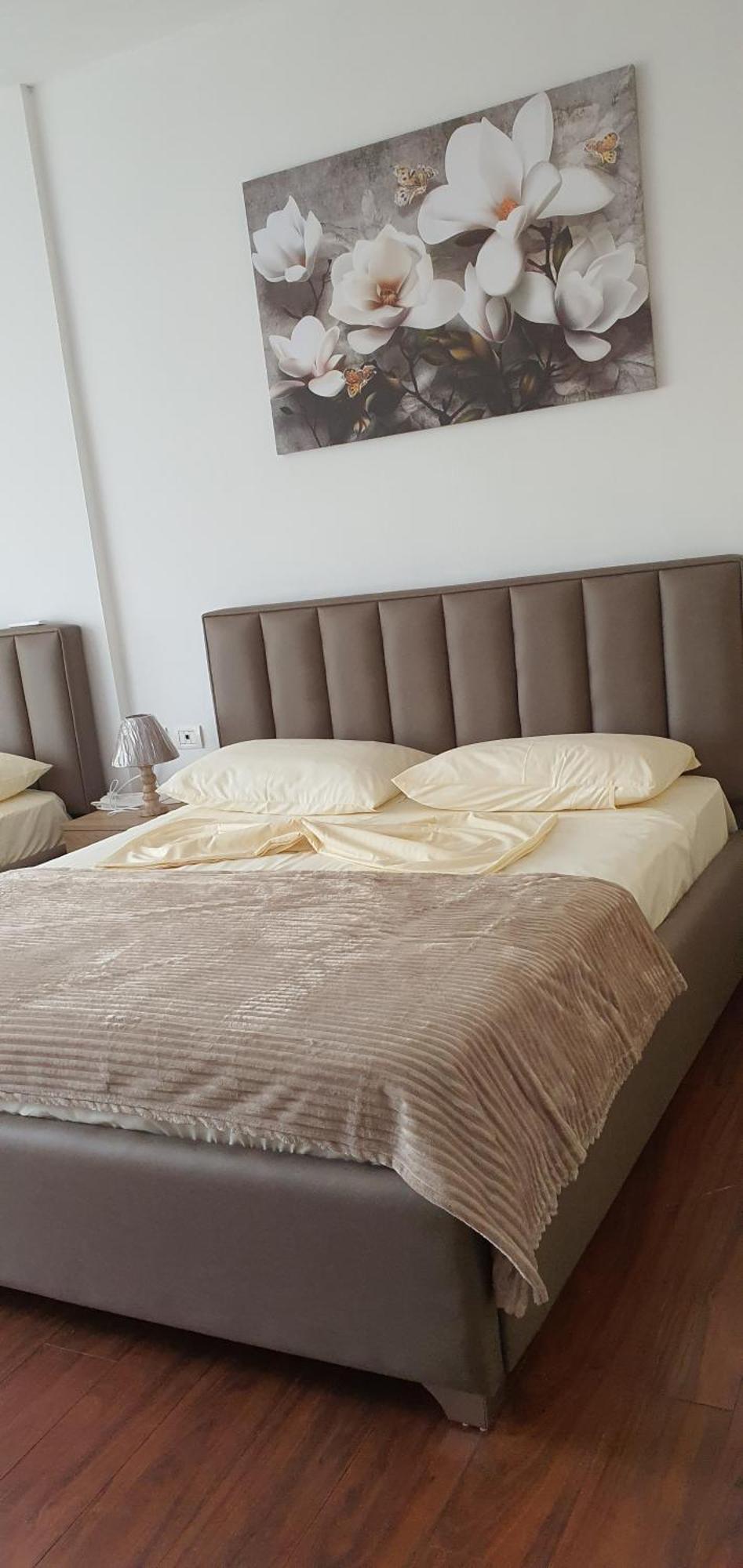 City Center Apartment Shkodër Dış mekan fotoğraf
